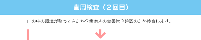 歯周検査(2回目) 口の中の環境が整ってきたか?歯磨きの効果は?確認のため検査します。