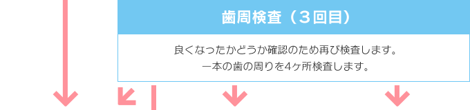 良くなったかどうか確認のため再び検査します。一本の歯の周りを4ヶ所検査します。